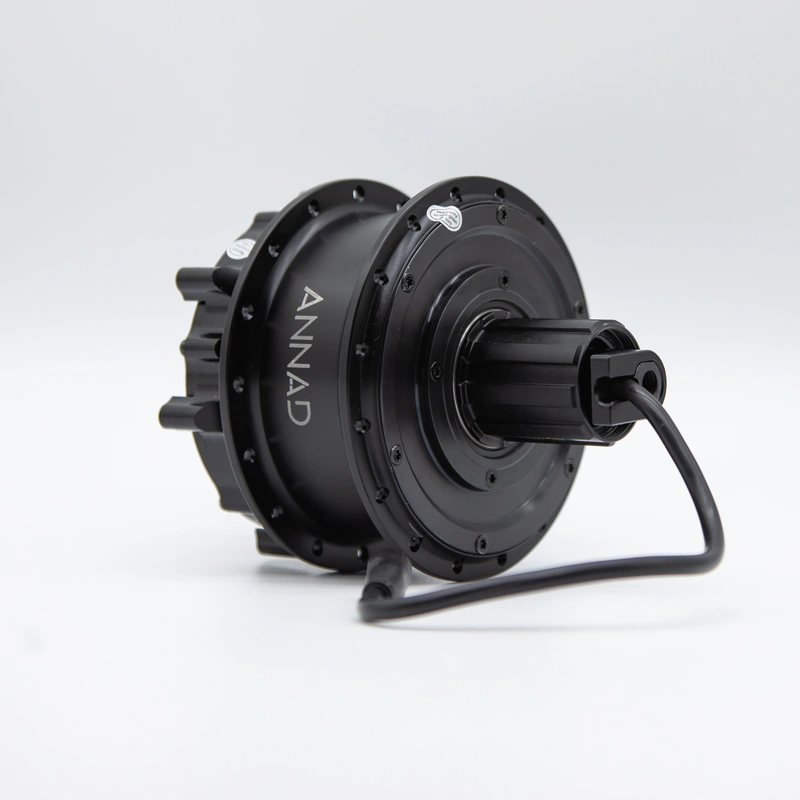 Moteur arrière Traversant 250W - Cadre à axe traversant 142 mm