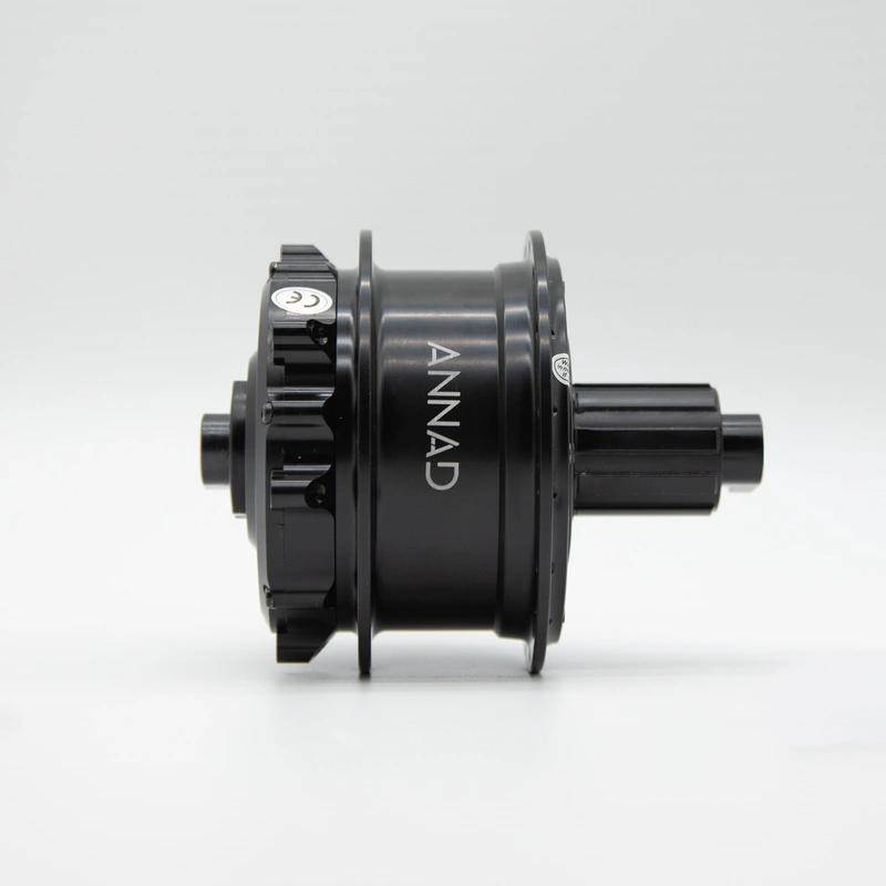 Moteur arrière 250W - Cadre à axe traversant 142 mm